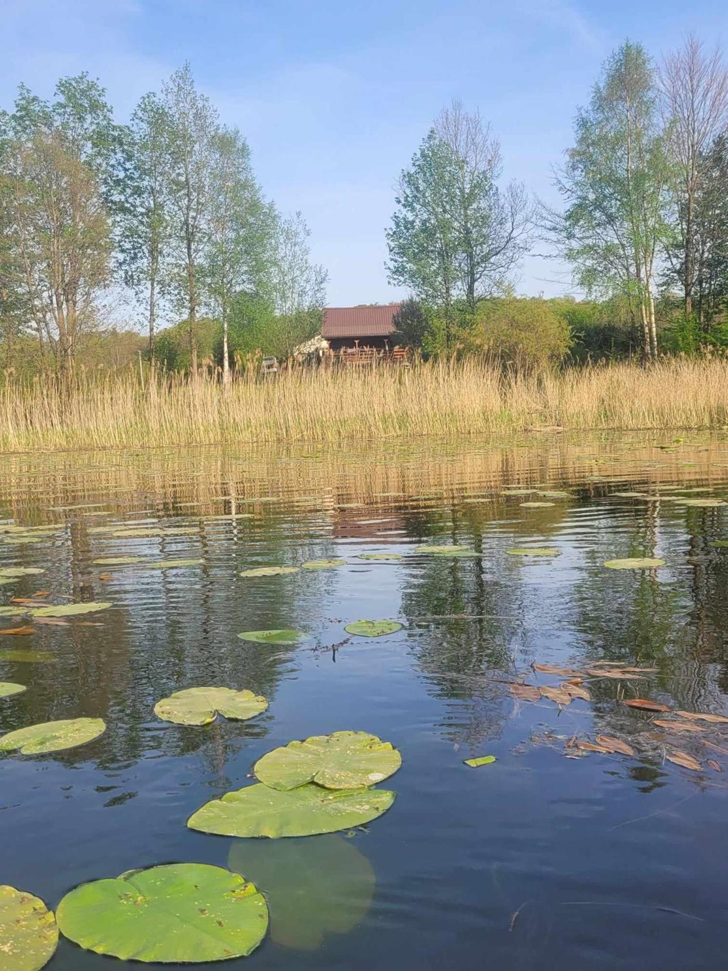 Drewniany Domek Zurawi Trakt Zabrsko Dolne Buitenkant foto